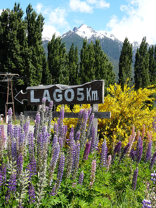 AR1107RB098_lago_epuyen.jpg [&copy; Last Frontiers Ltd]