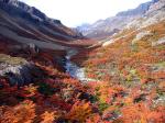 Image: Aguas Arribas - Chalten