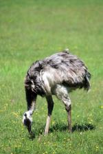 Image: Iber� marshlands - The Iber� Marshlands