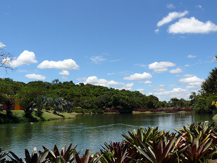 BR1009SM238_inhotim.jpg [&copy; Last Frontiers Ltd]