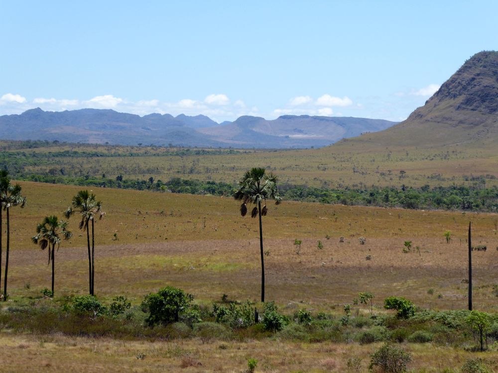 BR2510EP232_chapada-dos-veadeiros.jpg [&copy; Last Frontiers Ltd]