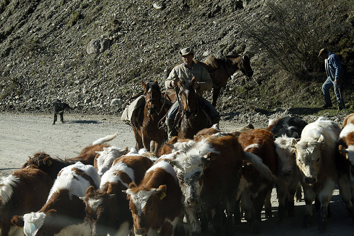 CL0909EM417_carretera-austral.jpg [&copy; Last Frontiers Ltd]