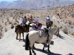 Hacienda Los Andes - La Serena and the Elqui valley, Chile