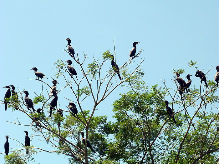 SV0913SM0321_lake-suchitlan-isla-de-los-pajaros.jpg [&copy; Last Frontiers Ltd]