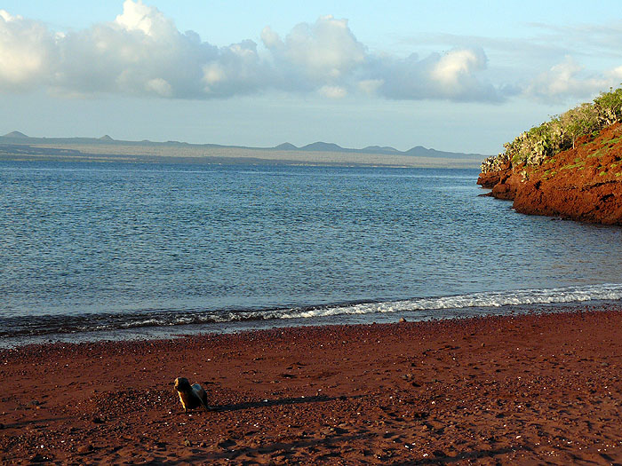 GP0310SM198_rabida.jpg [&copy; Last Frontiers Ltd]