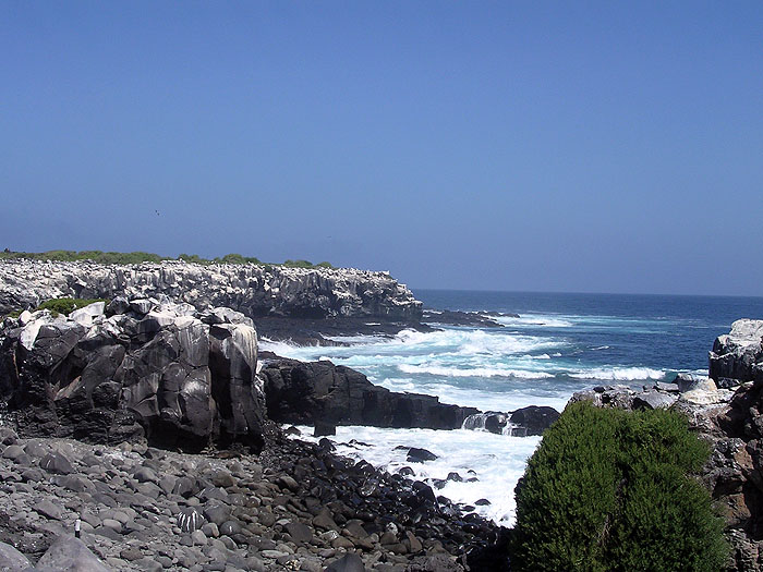 GP0404AB121_galapagos.jpg [&copy; Last Frontiers Ltd]