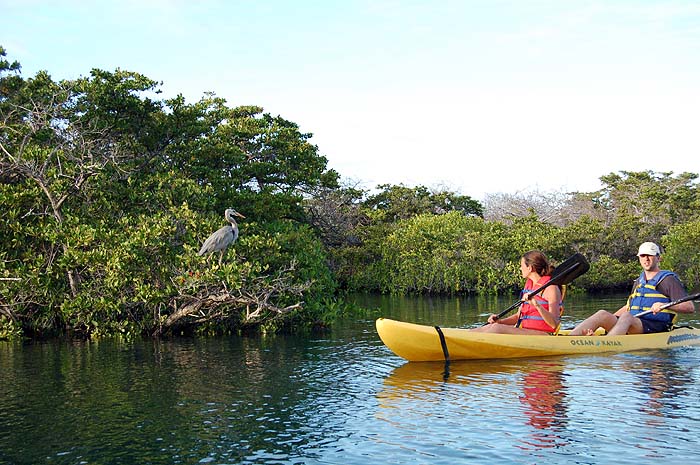 GPAN06_Sagitta_kayak_5.jpg [&copy; Last Frontiers Ltd]