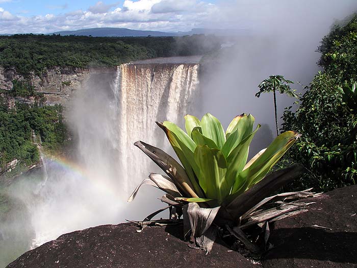 GY0504EP172_kaieteur.jpg [&copy; Last Frontiers Ltd]