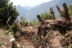 Image: MLP trek: Day 6 - The Inca Trails